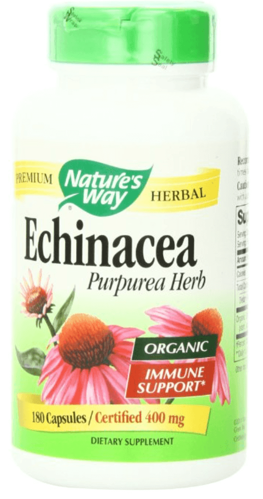 Echinacea Benefits Cold & Flu Relief All Natural Ideas