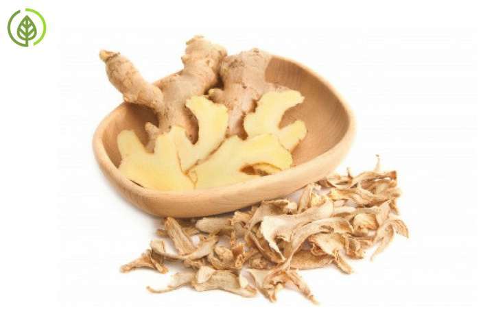 Fresh Ginger Health Benefits