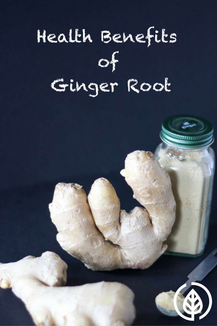 Fresh Ginger Root