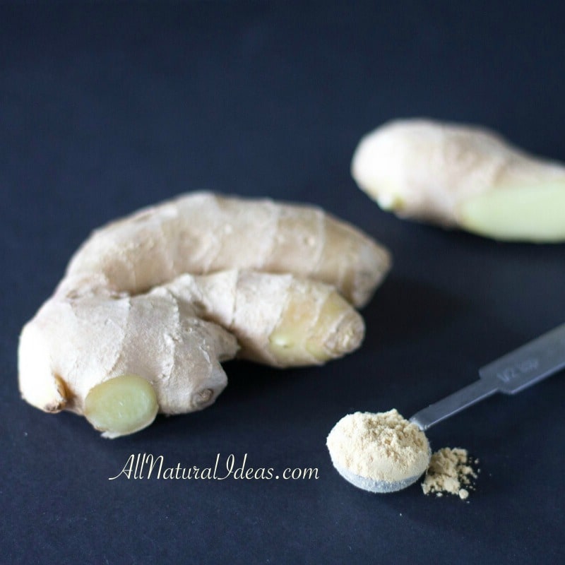 Probiotics Pros and Cons What you need to know All Natural Ideas