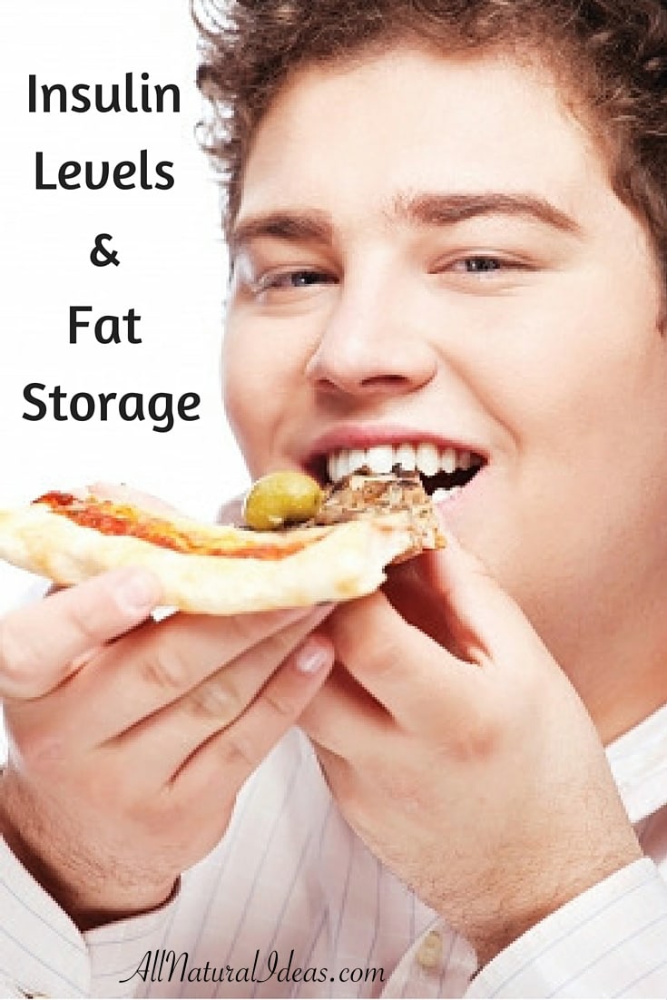 Are you aware of how insulin levels and fat storage in the body are related? The key to preventing excess fat being stored is to maintain stable insulin