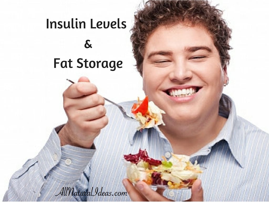 Insulin Levels and Fat Storage