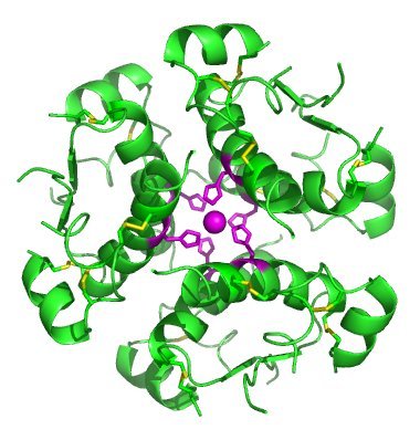 Created by Isaac Yonemoto created with en:pymol, en:inkscape, and en:gimp from NMR structure 1ai0 in the en:pdb. Ref: Chang, X., Jorgensen, A.M., Bardrum, P., Led, J.J.