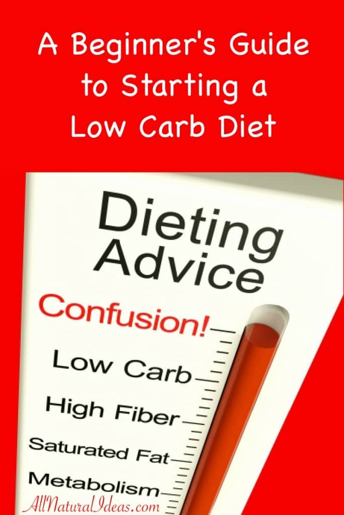 Low Carb Diet Beginners Guide to Starting All Natural Ideas