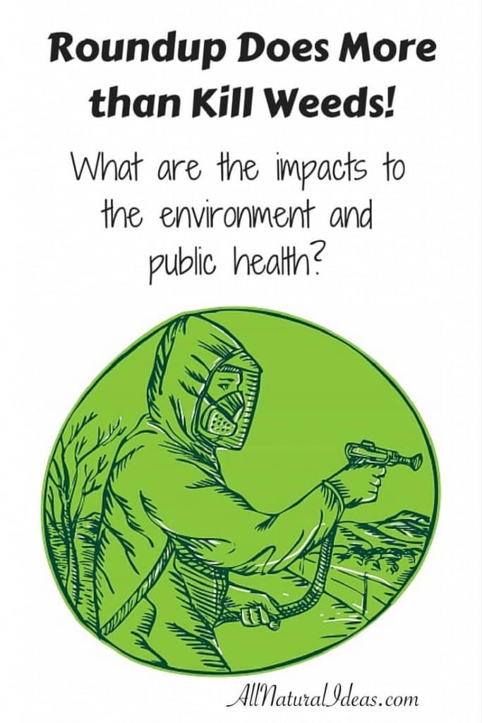 Roundup Effects on Environment and Health All Natural Ideas