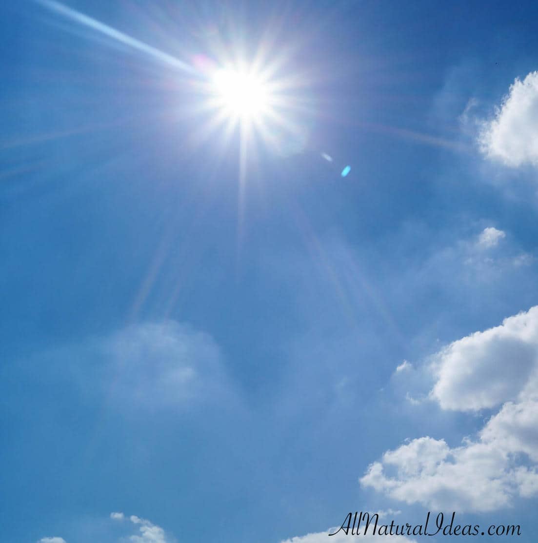 Learn the importance of vitamin D for better health