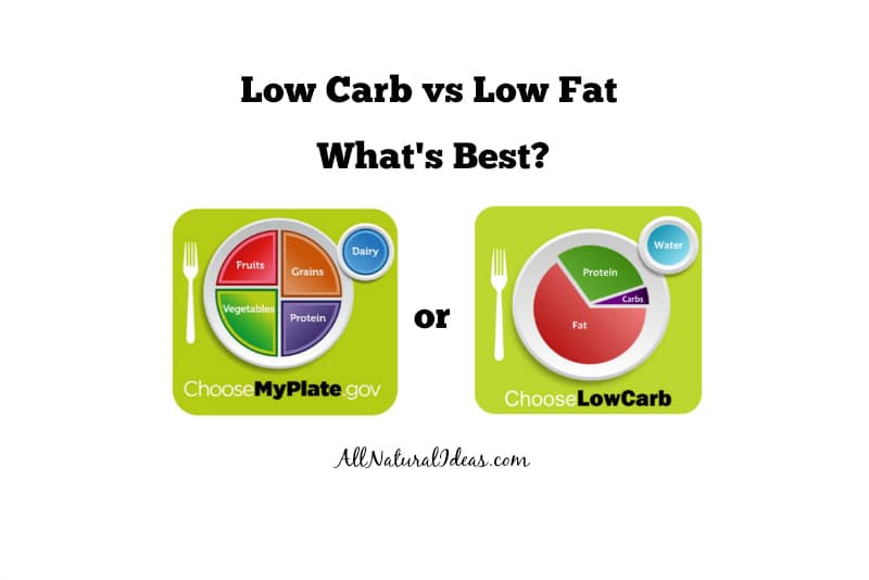 Low Carb vs Low Fat Diets: What's Better? | All Natural Ideas