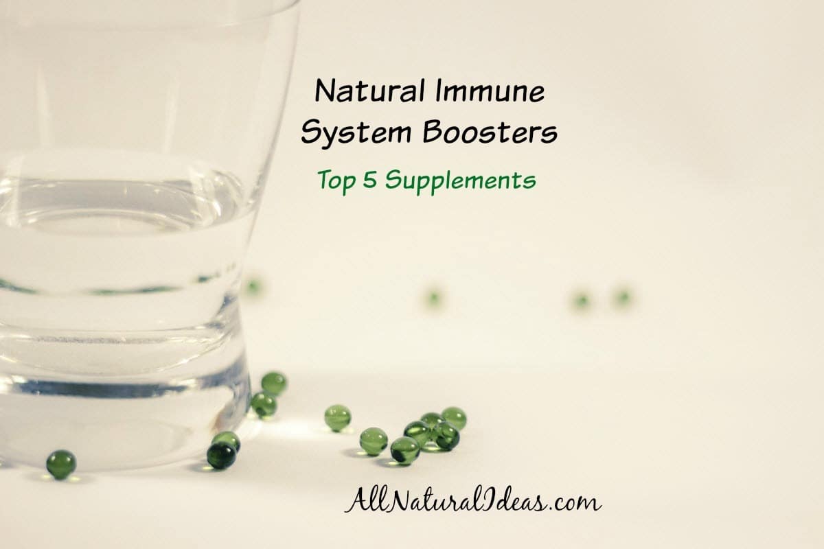 Natural immune system boosters can be taken to prevent illness or speed up recovery when sick. Here's a list of the top 5 supplements.