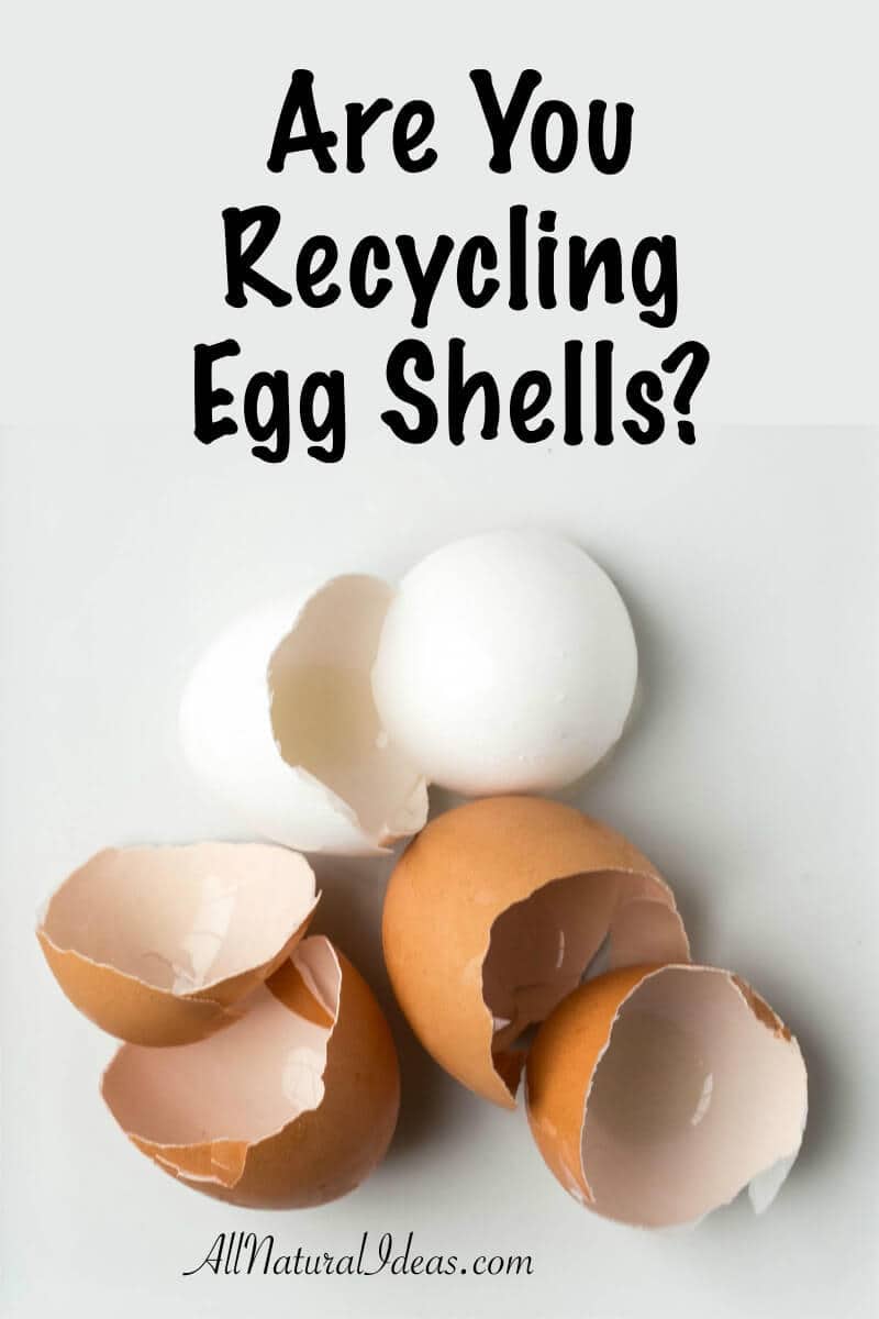 Recycling egg shells