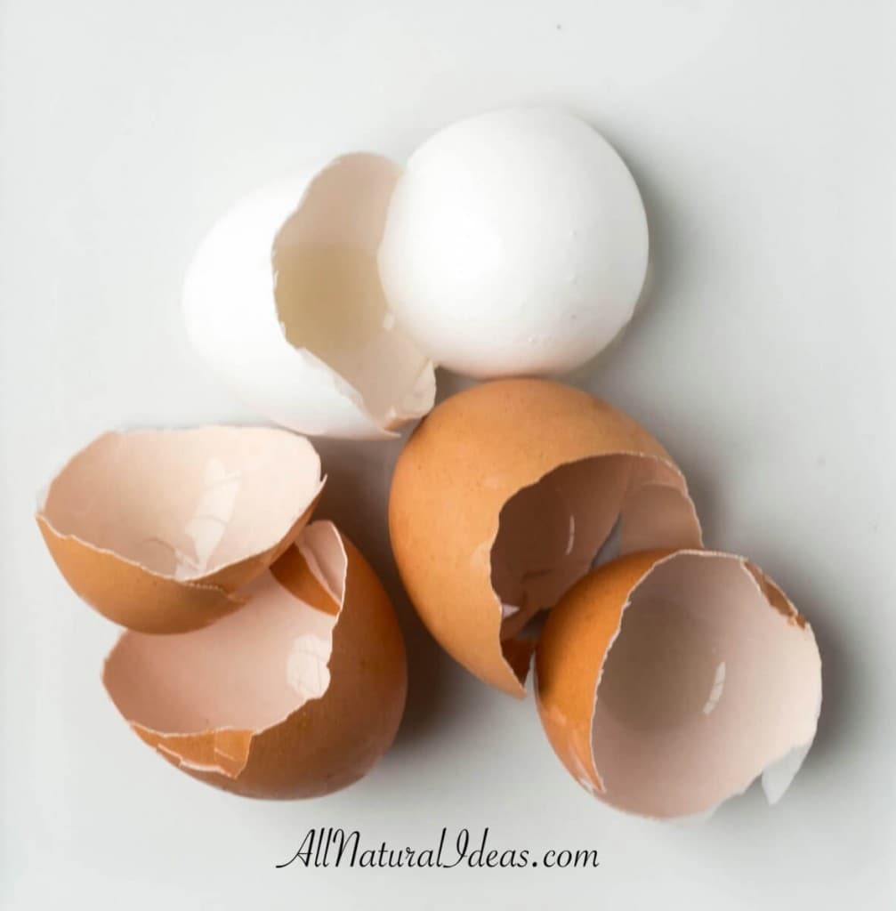 Recycling Egg Shells All Natural Ideas