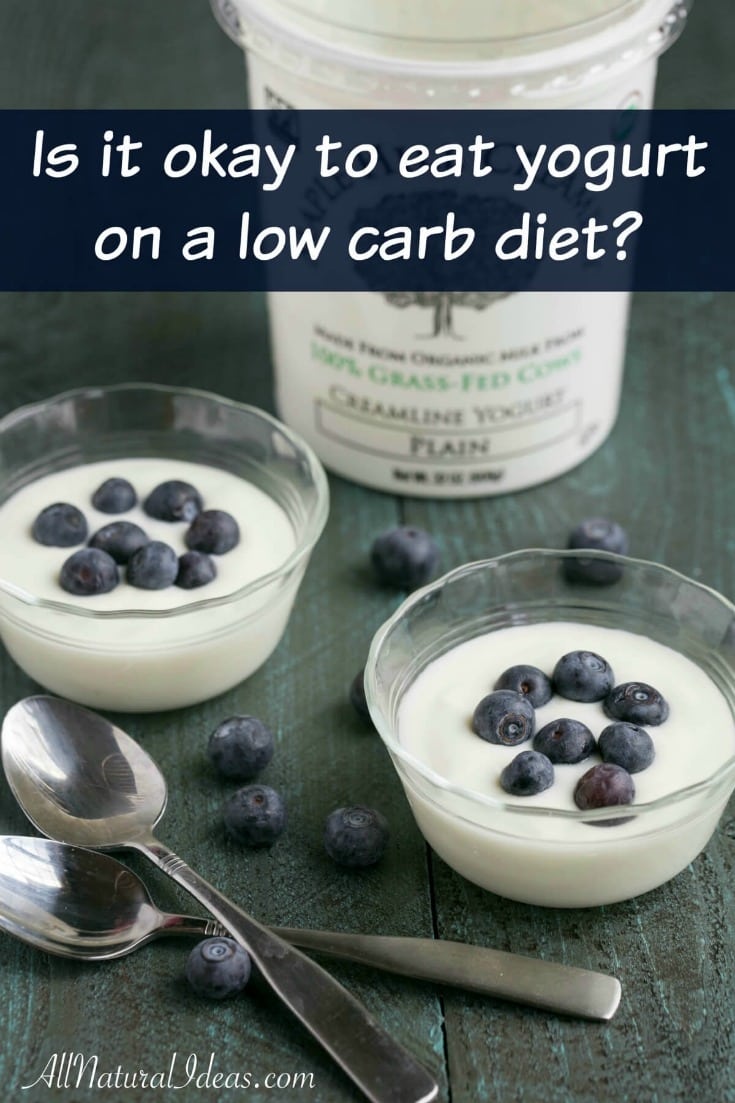 Low carb diets call for foods to be low in carbohydrates. Labels on yogurt depict them as being high carb. Is there a low carb yogurt option? | allnaturalideas.com