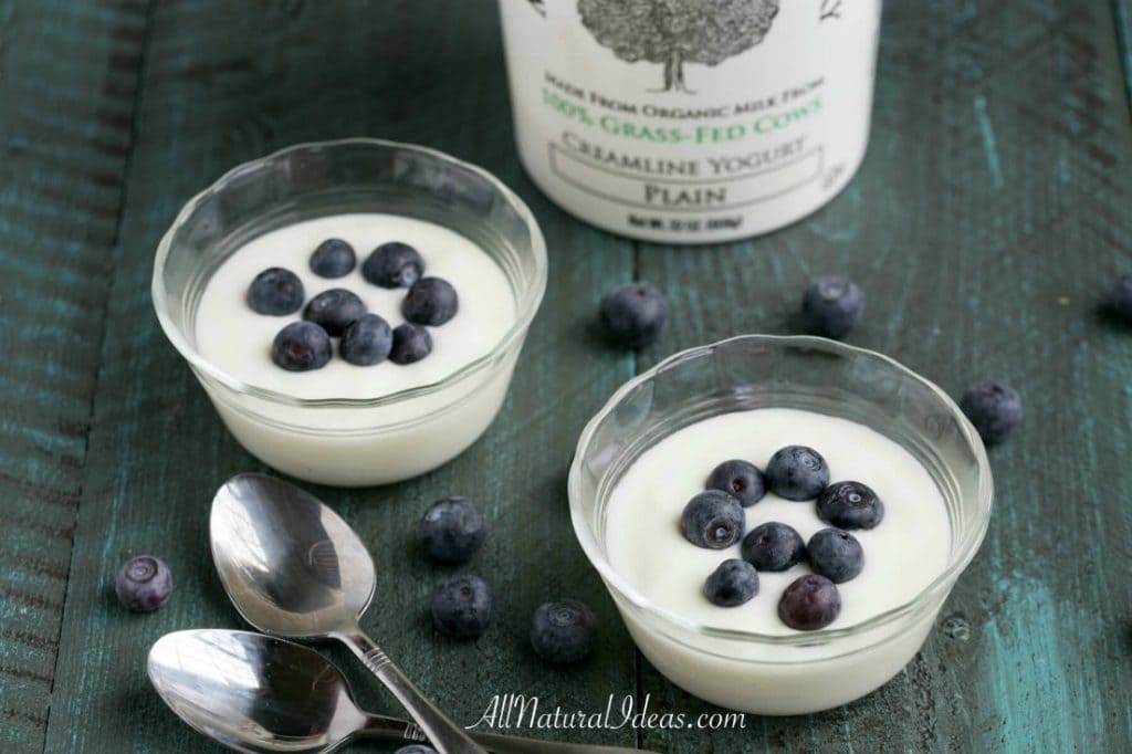 A bowl of low carb yogurt with blueberries 