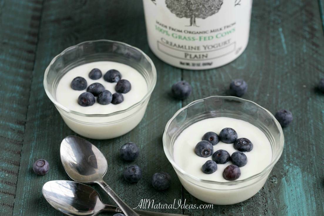 Low carb diets call for foods to be low in carbohydrates. Labels on yogurt depict them as being high carb. Is there a low carb yogurt option? | allnaturalideas.com