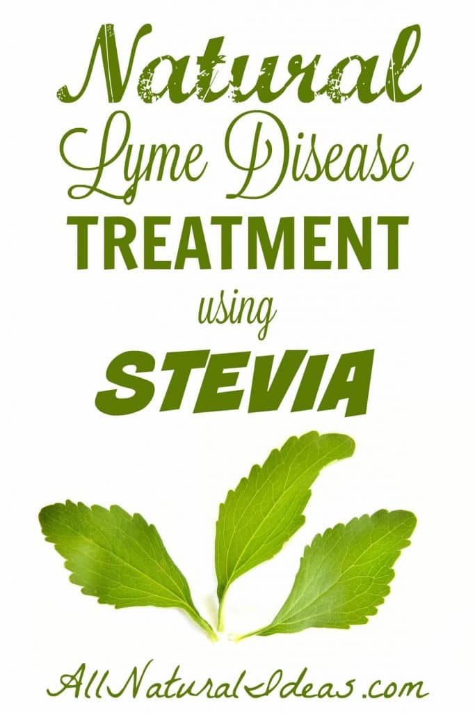 Conventional antibiotics are the standard treatment plan for Lyme. However, there is early indication that a Nutrimedix stevia Lyme disease treatment may be effective.