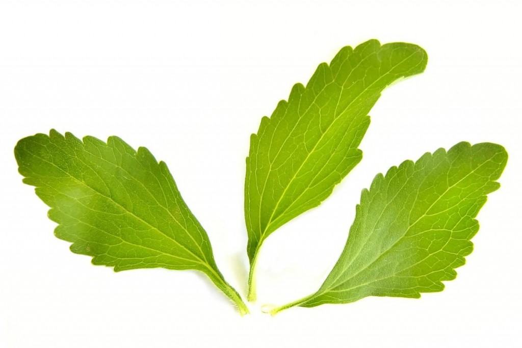 Natural Lyme Disease treatment using stevia