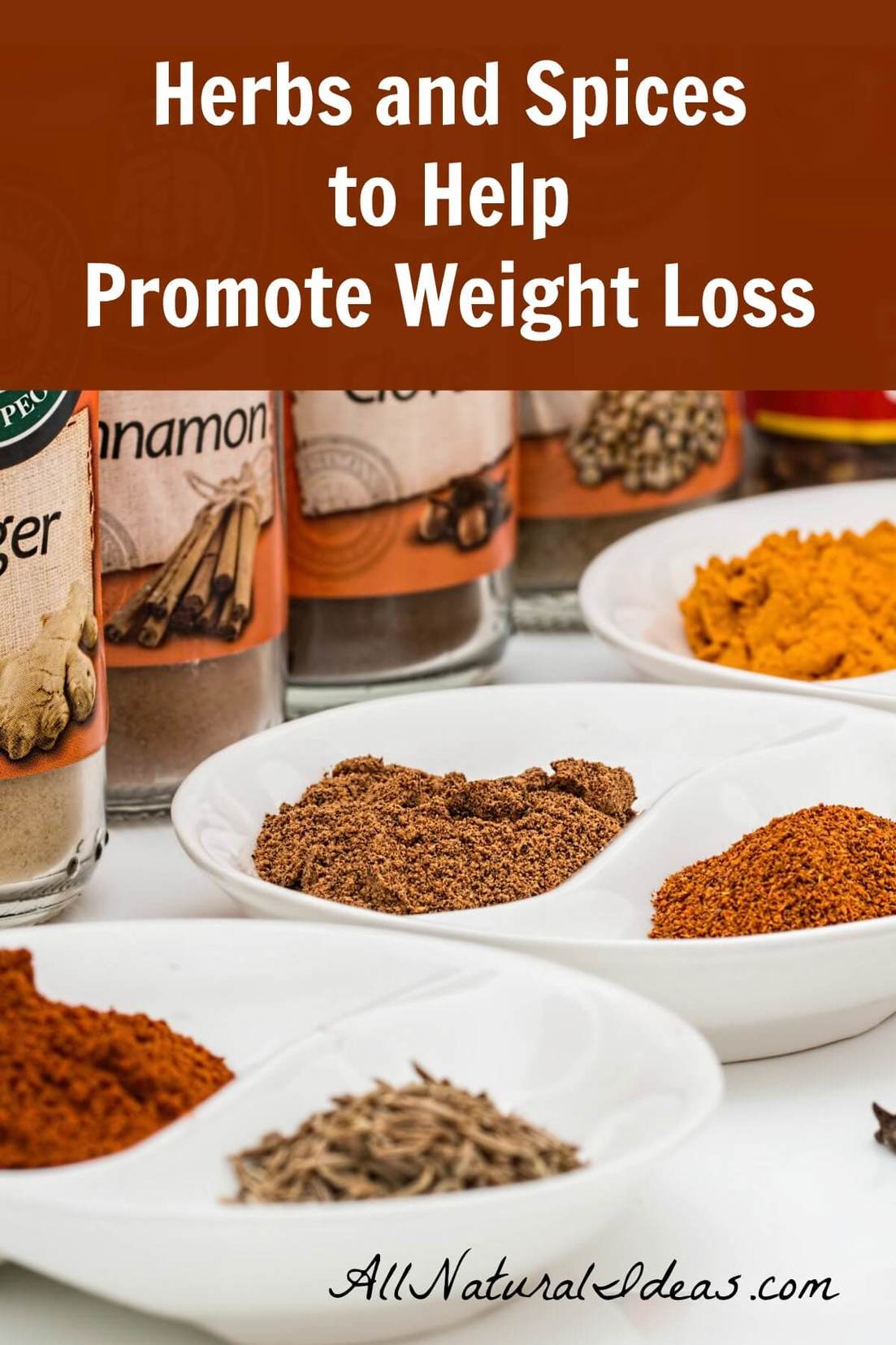 Exercising? Eating fruits and vegetables? Still struggling to lose weight? Try adding natural weight loss herbs and spices to help shed extra pounds!