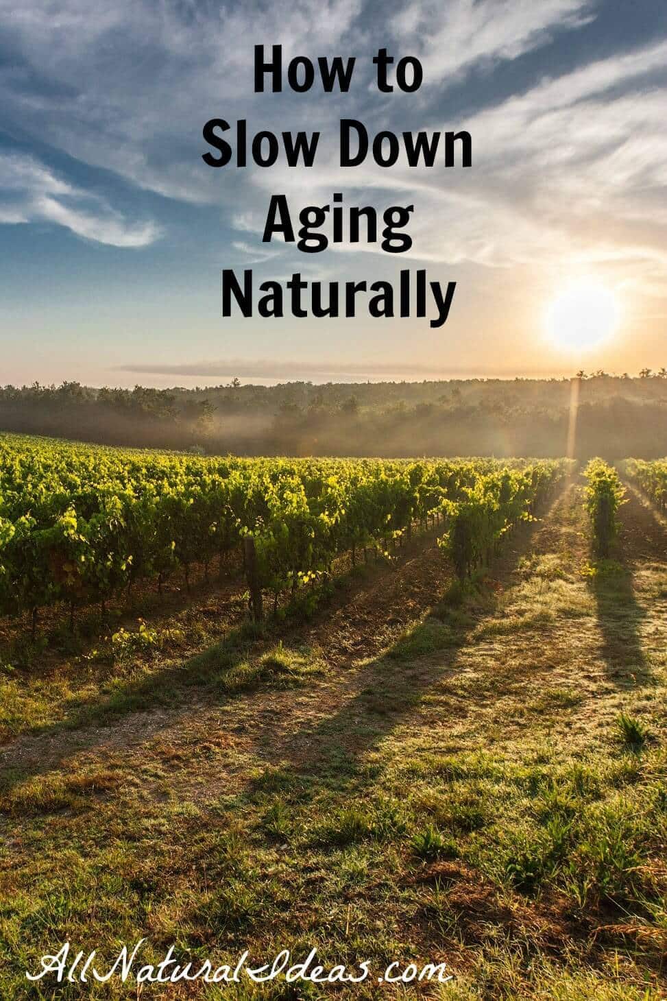 Slow down aging naturally