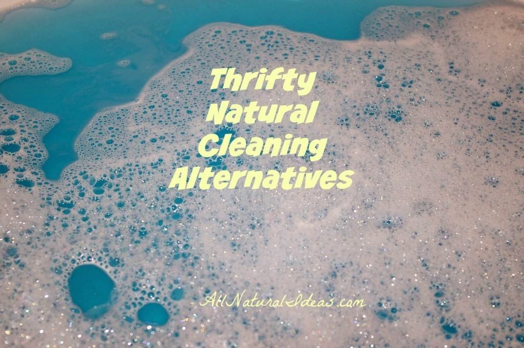 Thrifty natural cleaning alternatives