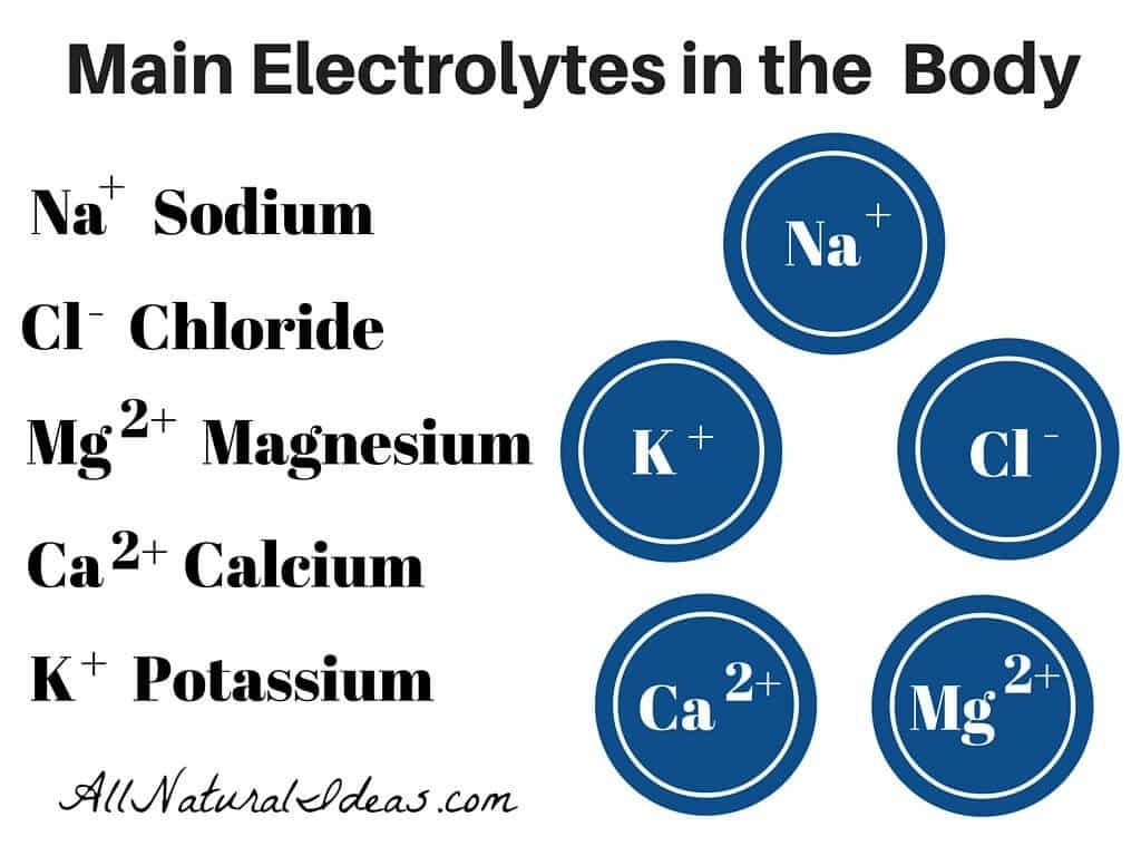 Importance of electrolytes in the body