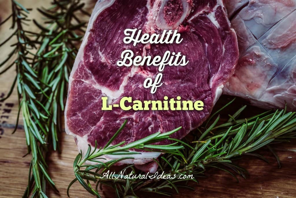 L-carnitine health benefits including anti-aging
