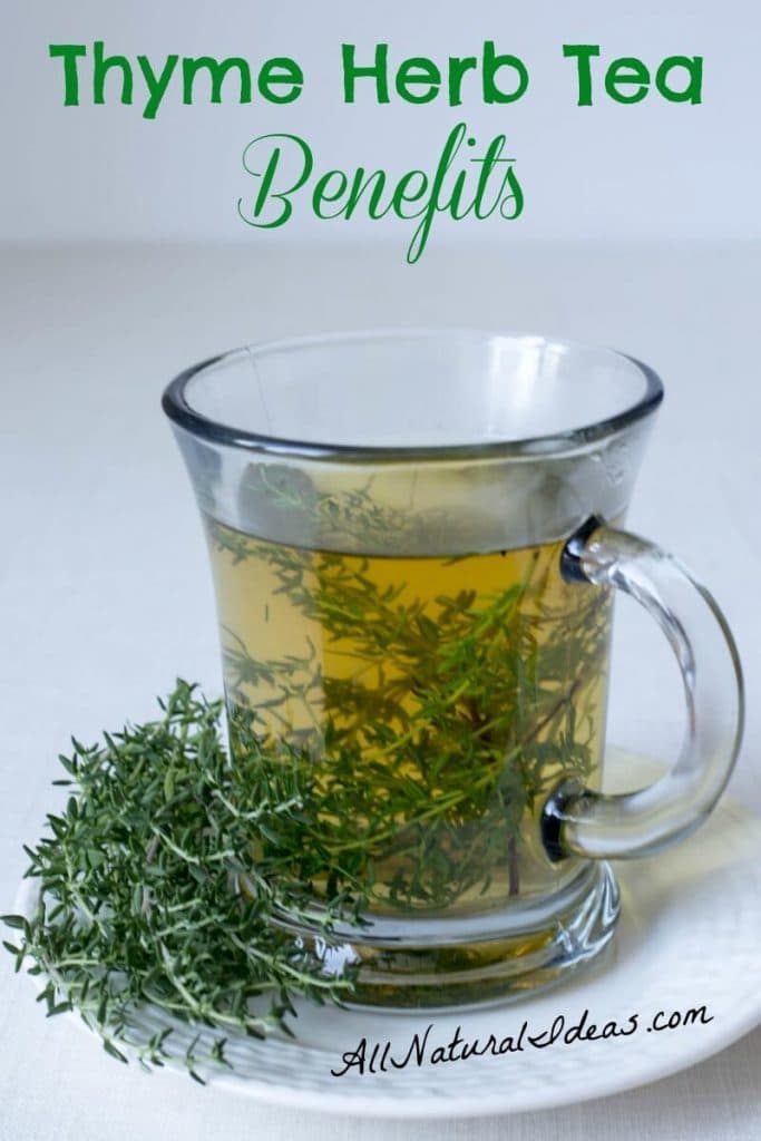 The thyme herb tea benefits have been known for ages. Drinking this magical tea may provide relief for many ailments. Make the switch from coffee! | allnaturalideas.com