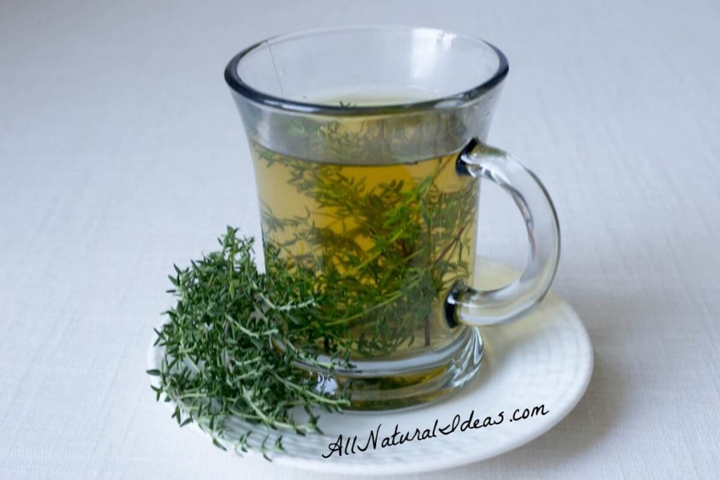 The thyme herb tea benefits have been known for ages. Drinking this magical tea may provide relief for many ailments. Make the switch from coffee! | allnaturalideas.com