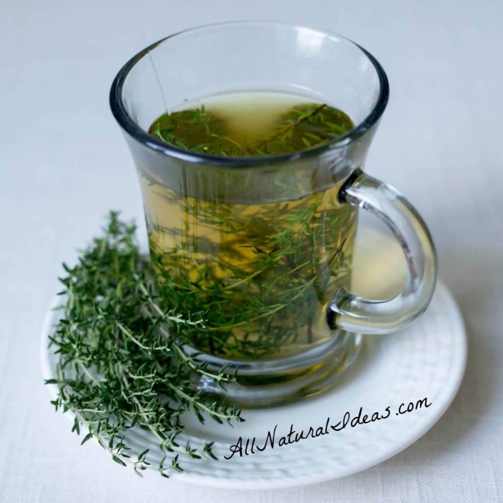 The thyme herb tea benefits have been known for ages. Drinking this magical tea may provide relief for many ailments. Make the switch from coffee! | allnaturalideas.com