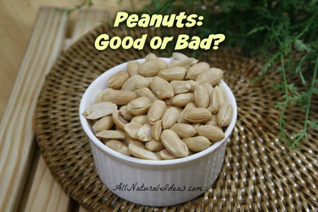 There is so much conflicting information about peanuts. Are peanuts good or bad for you? Here's what we found so you can decide. | allnaturalideas.com