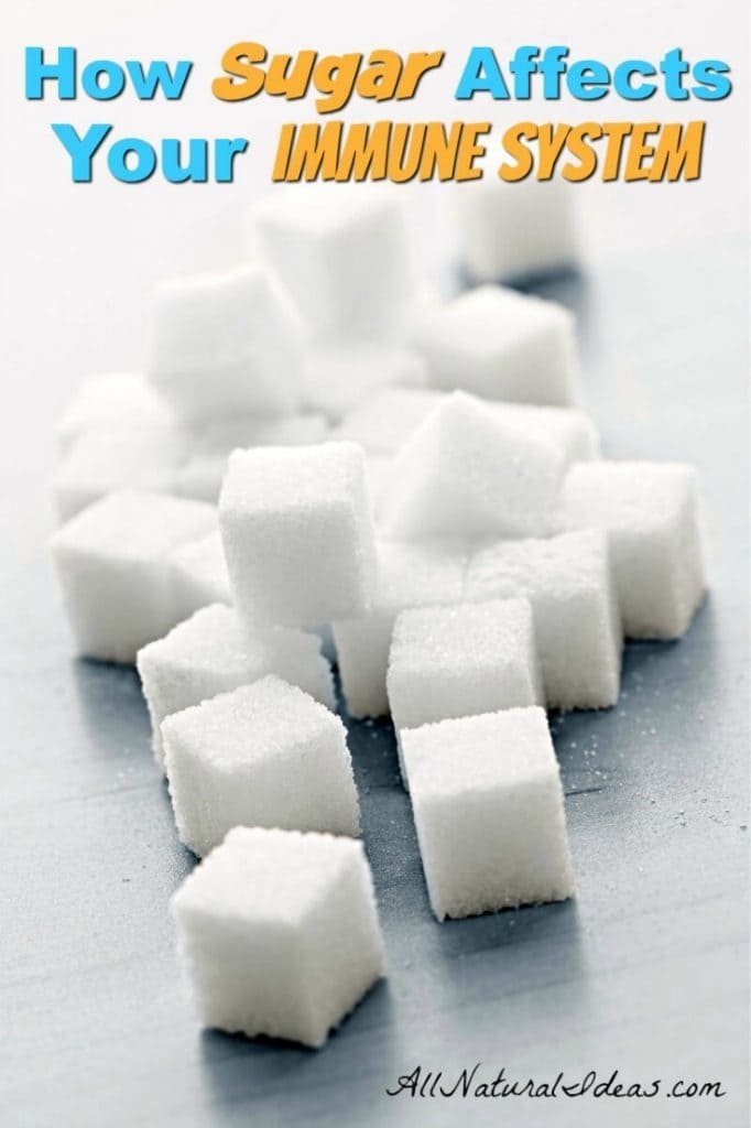 What's the Sugar Immune System Relationship? All Natural Ideas