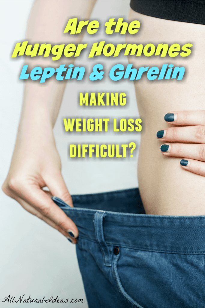 Hunger hormones leptin and ghrelin can make weight loss difficult. Getting control of your hunger is important if you want to keep weight off. | allnaturallideas.com