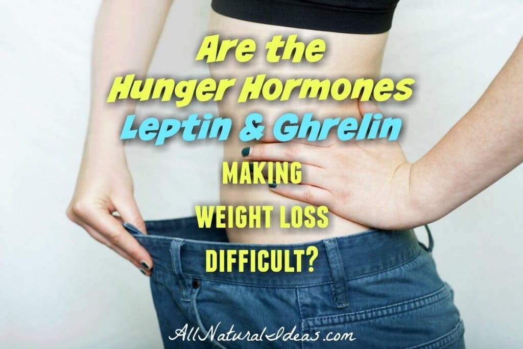 Hunger hormones leptin and ghrelin can make weight loss difficult. Getting control of your hunger is important if you want to keep weight off. | allnaturallideas.com