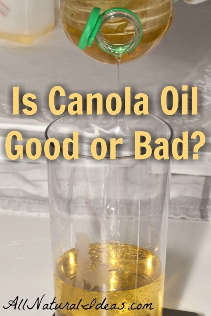 Canola is low in saturated fats, but is canola oil bad or good for your health? Let's take a look at the canola oil health benefits.