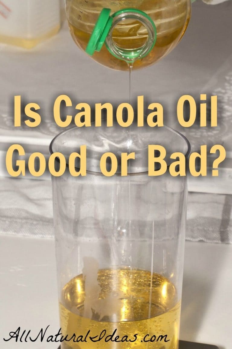 Canola Oil Health Benefits Is Canola Oil Bad or Good? All Natural Ideas