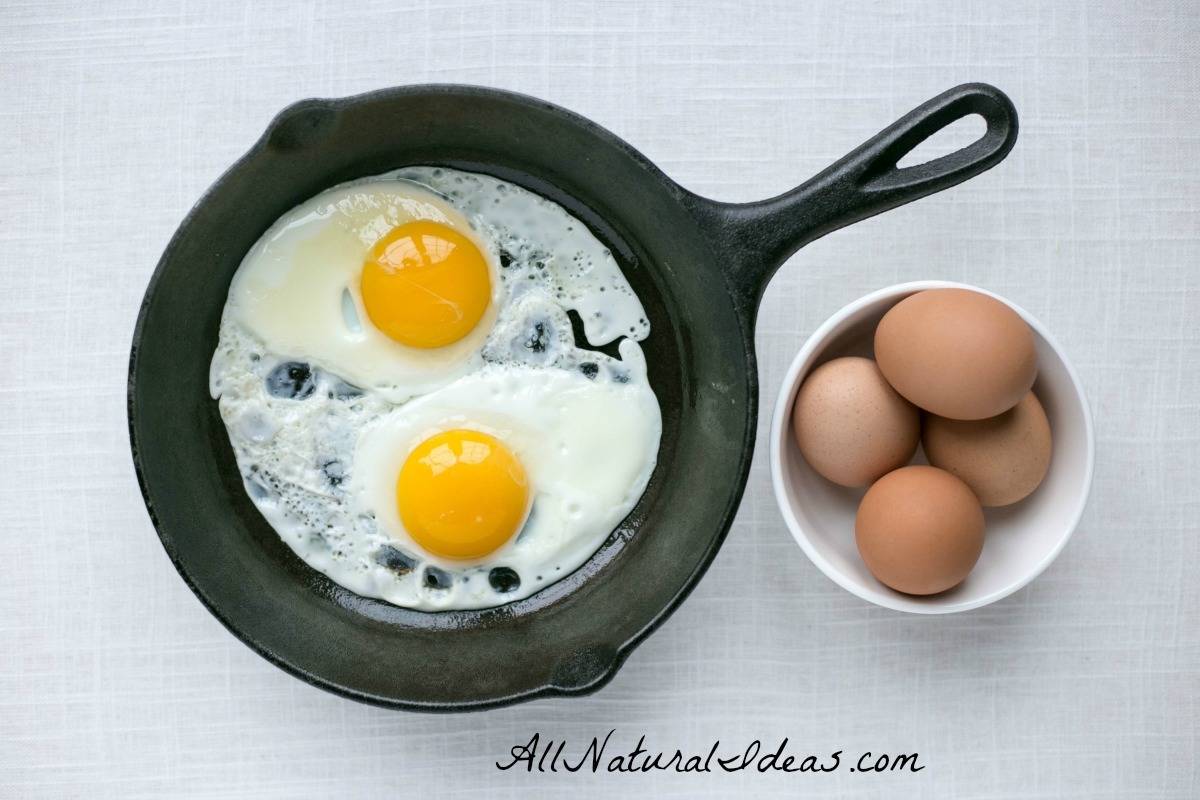 Egg fast diet plan for quick weight loss