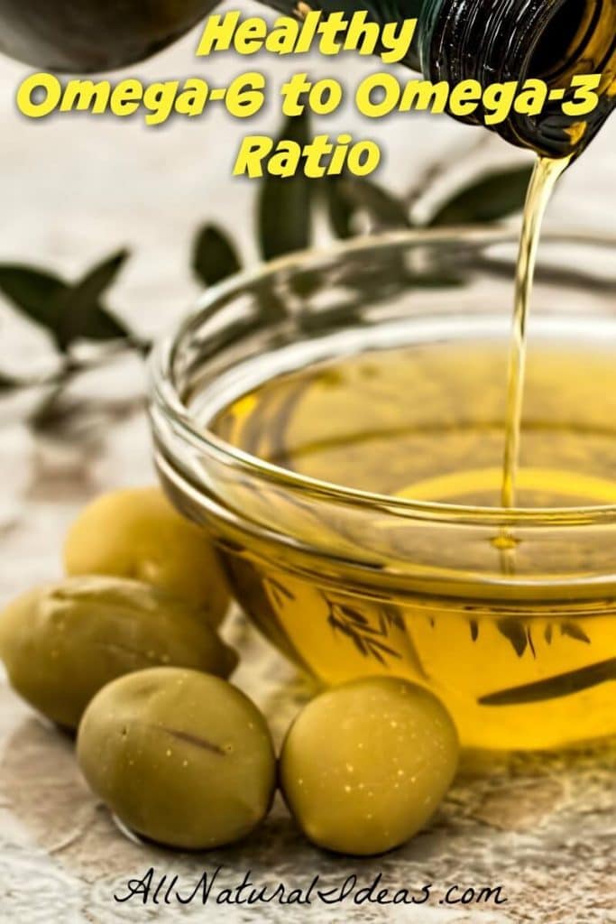 Healthy fat is a necessary component of any diet. But, many diets do not achieve a healthy omega-6 to omega-3 ratio to prevent common ailments. | allnaturalideas.com