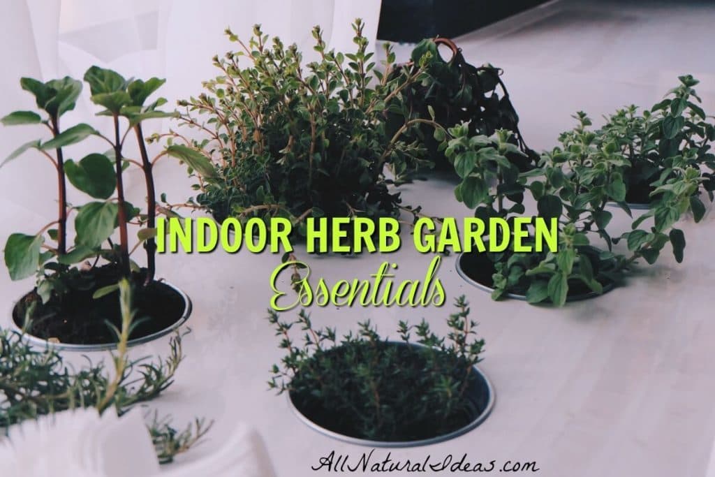 Looking to have your own fresh herbs? Don't have any outdoor space? Try making an indoor herb garden on your windowsill to fulfill your herb needs! allnaturalideas.com