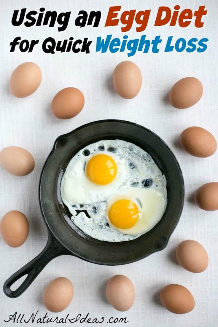 Egg Fast Diet: Can It Help You Lose Weight Quickly? | All 