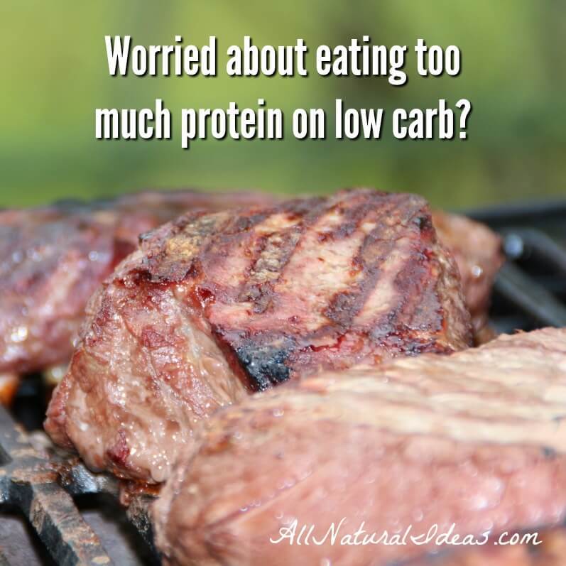 A lot of low carb dieters worry about eating too much protein. What is the recommended low carb diet daily protein amount to avoid gluconeogenesis? | allnaturalideas.com