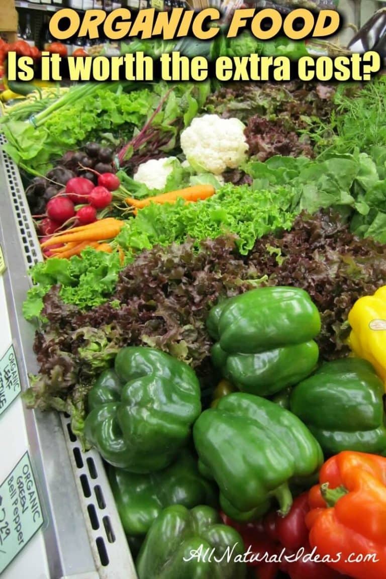 Why Is Organic Food More Expensive? All Natural Ideas