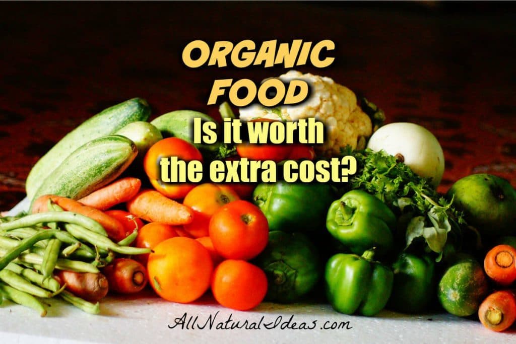 With the organic food market growing bigger, many questions arise. Why is organic food more expensive? And is it worth the extra cost?