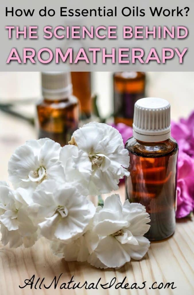 The science behind aromatherapy may not be fully understood. But lots of research has been done on essential oils and how they are thought to work. | allnaturalideas.com
