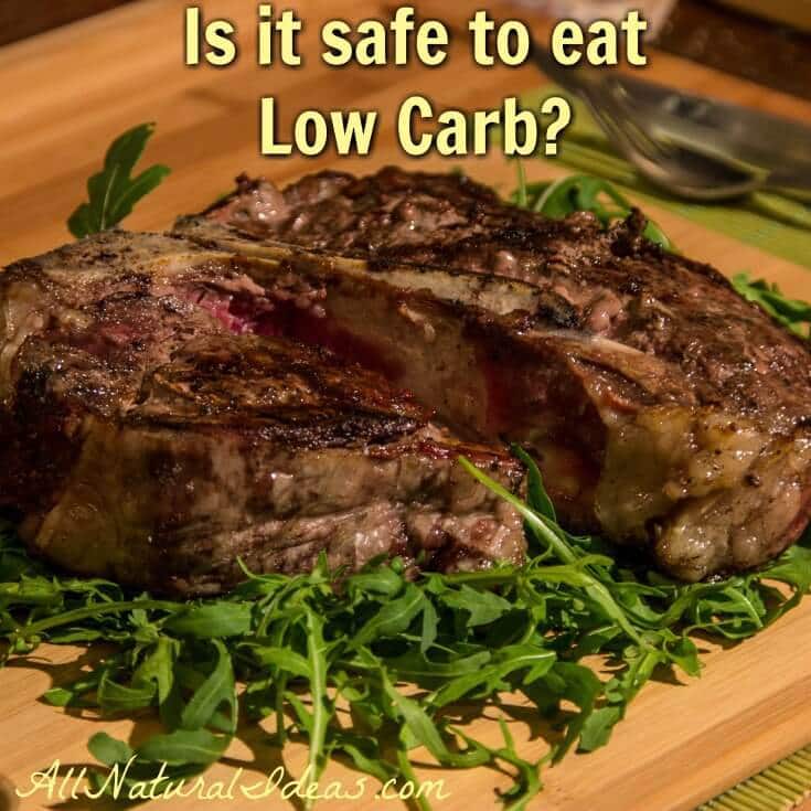 Are low carb diets safe to follow?
