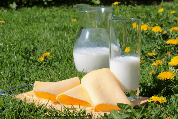 There's a lot of confusion about dairy and your health. Is dairy good for you? Or, are dairy products bad for you? Let's examine some of the facts.