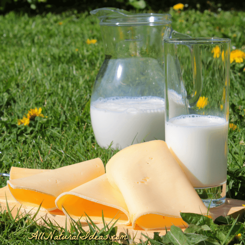 Is dairy bad for you or good?