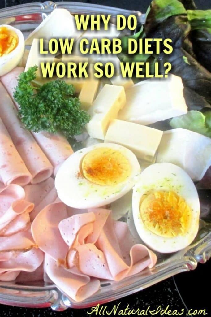 Why do low carb diets work so well? And, do low carb diets work long term? Here's the basics you need to know on how a low carb diet works. | allnaturalideas.com