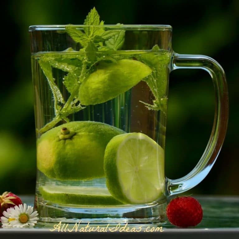 Activated Charcoal Uses and Benefits All Natural Ideas