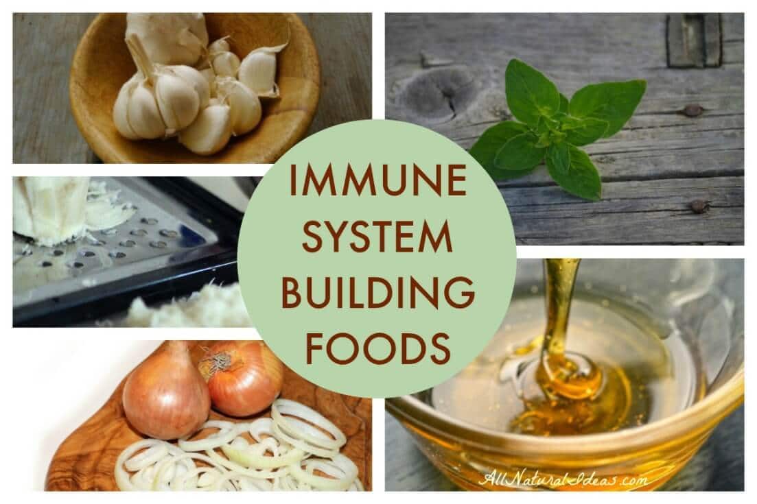 Foods to strengthen immune system during cold season