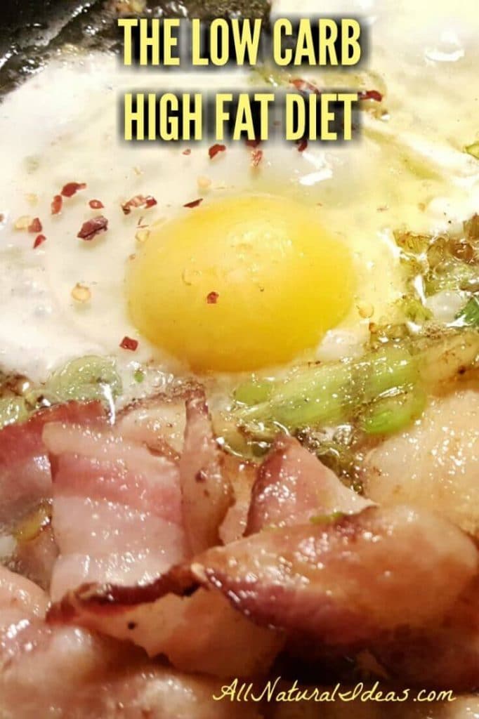 Low Carb High Fat Diet Meal Plan | All Natural Ideas