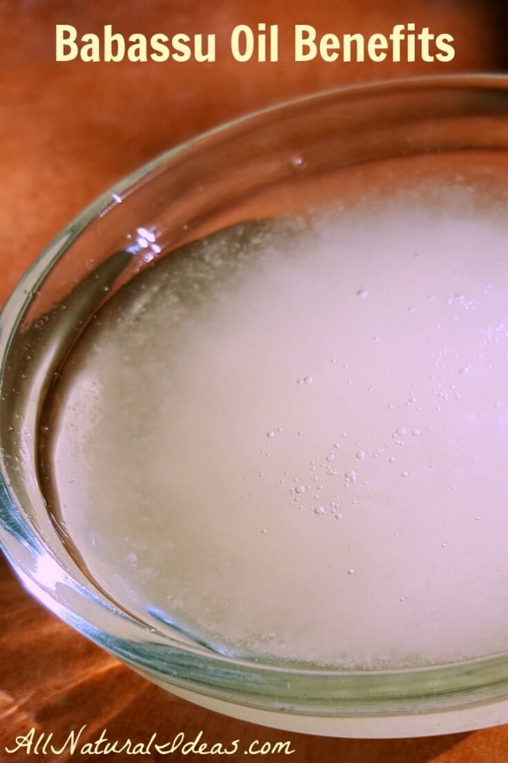 Babassu oil in a small glass dish. 