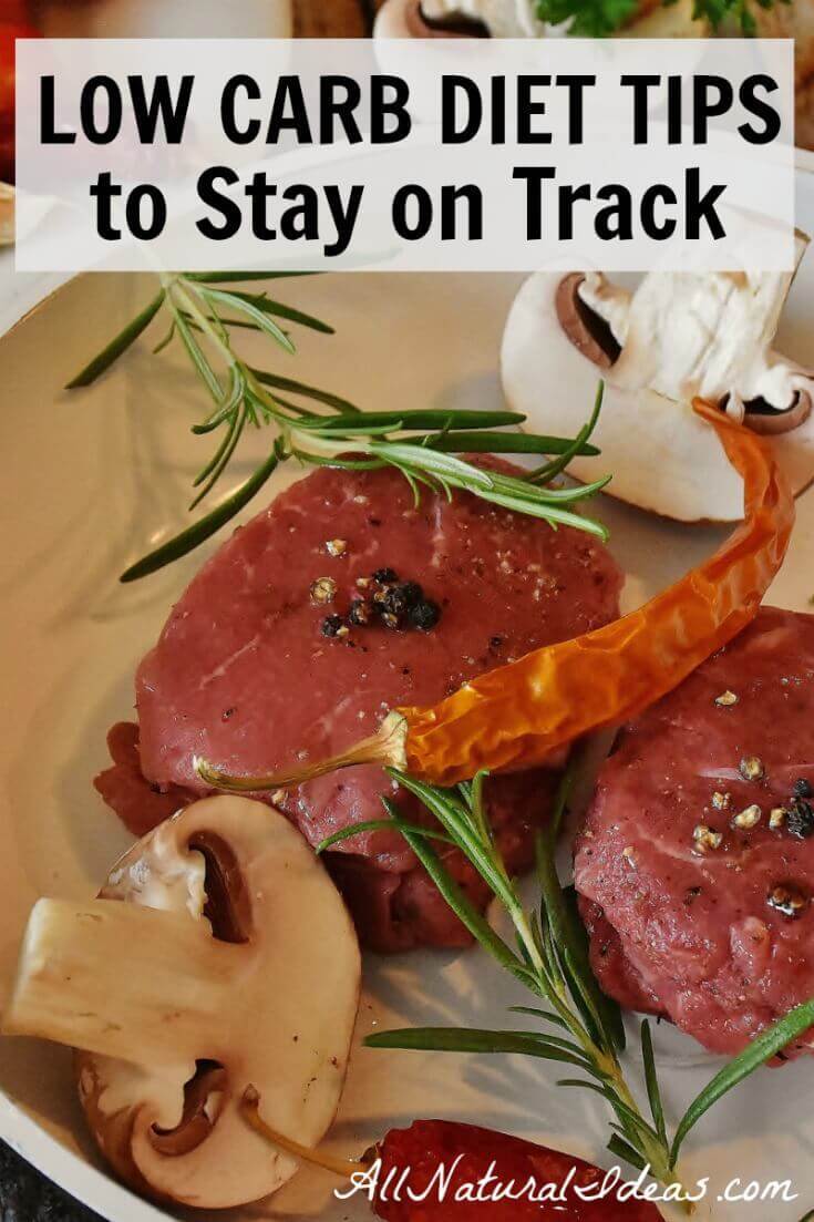 Low Carb Diet Tips to Stay on Track | All Natural Ideas